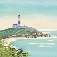 Montauk Point Lighthouse Print