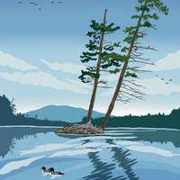 Cranberry Lake Print